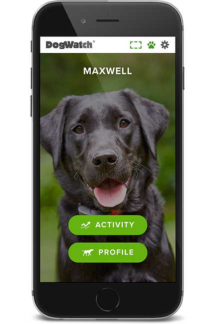 DogWatch by Fido's Fences, Syosset, New York | SmartFence WebApp Image